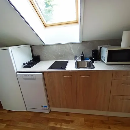 Guest house - Rybolov Pro Deti A Dospele Lazne Bohdanec