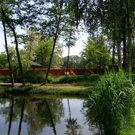 Guest house - Rybolov Pro Deti A Dospele